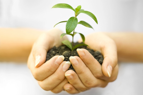 bioheat® home heating oil delivery by jj sullivan