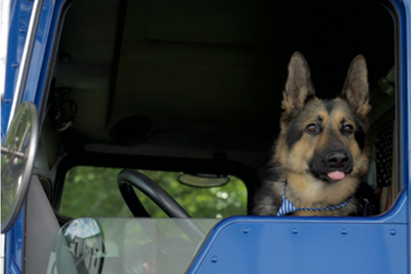 jj sullivan mascot 2